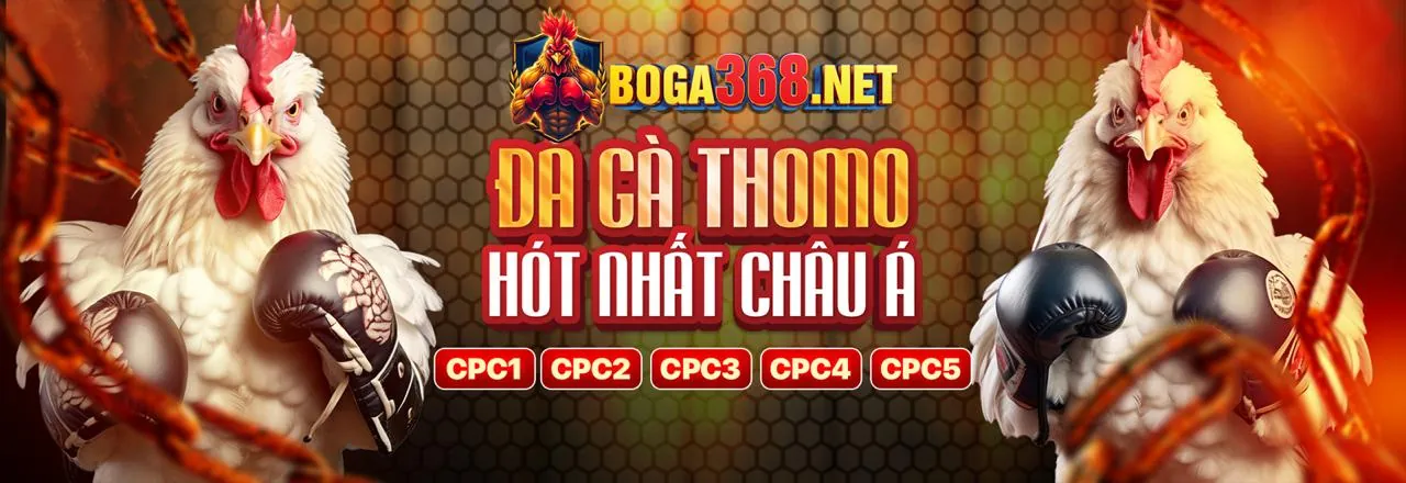 Cơ hội trúng Jackpot lớn tại 11bet